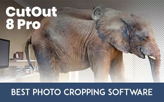 CutOut 8 Pro: The Best Photo Cropping Software