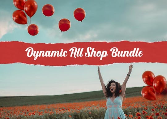 Dynamic-All-Shop-Bundle