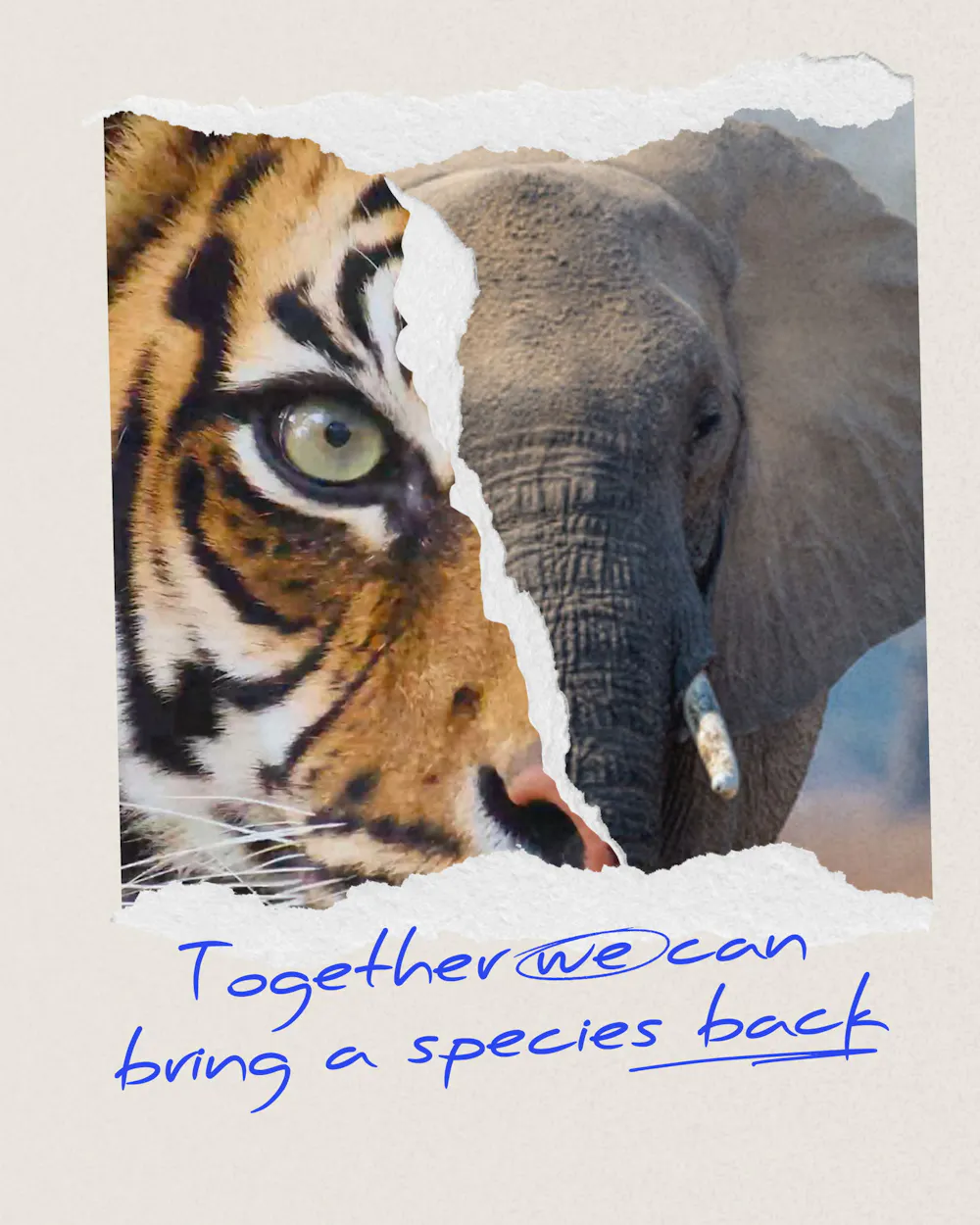 Living Planet Report 2026