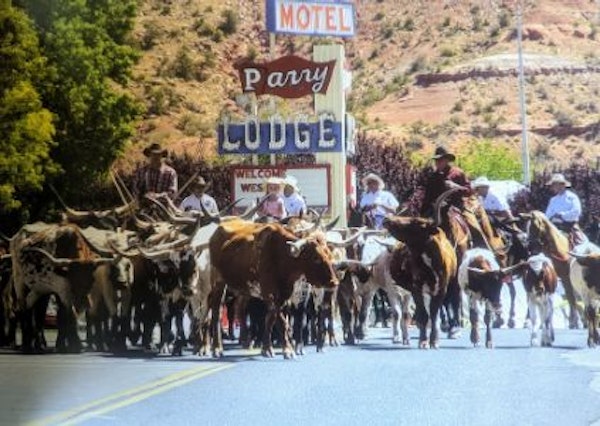 Western legends High Noon Parade, Longhorns