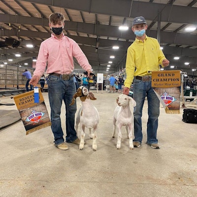 Connor Sowa 2020 fbcf rabbit show