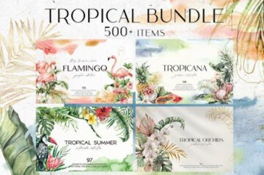 500+ Tropical Illustrations Bundle