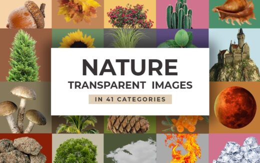 Nature Transparent Images