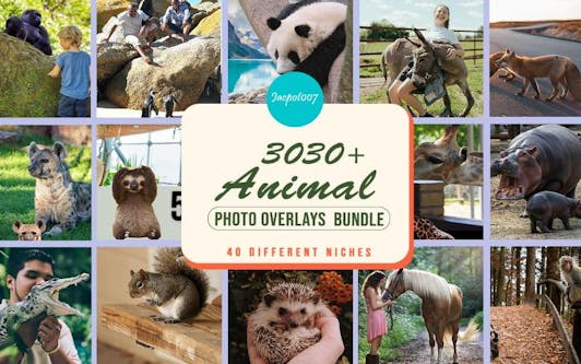 3000+ Animal Overlays Bundle
