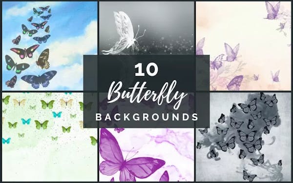 10 Butterfly Backgrounds