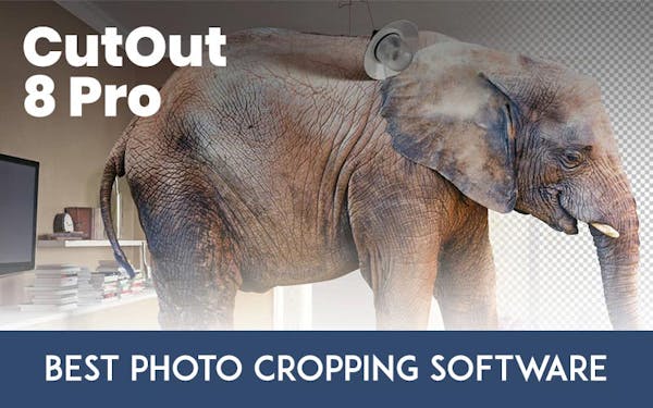 CutOut 8 Pro: The Best Photo Cropping Software