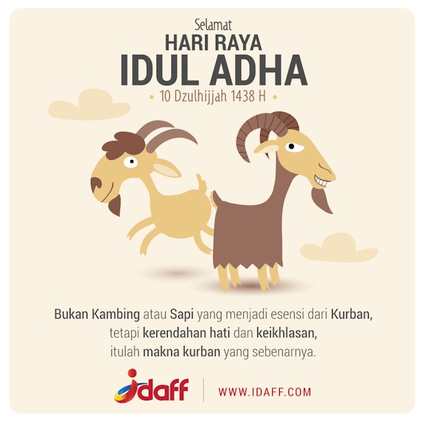 Email Image