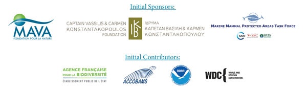 Email Image