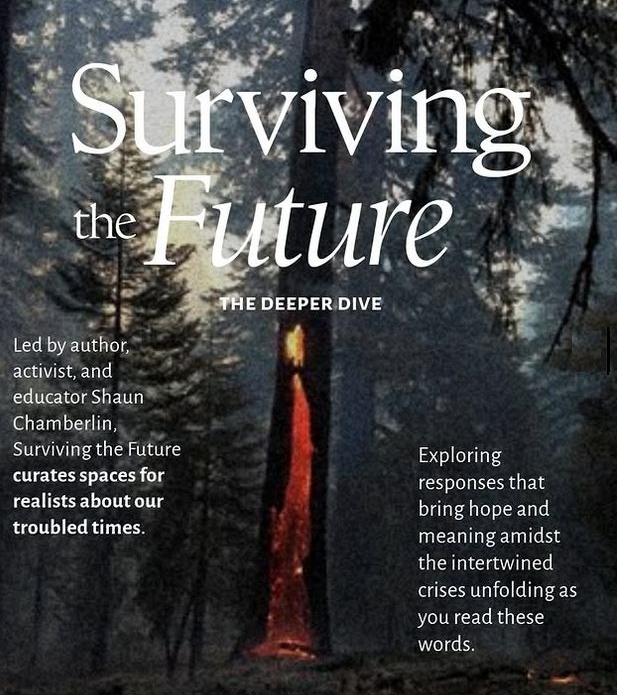 A tree after a forest fire, with overlaid text