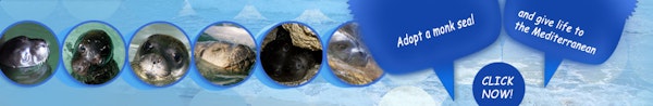 Email Image