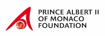 Email Image