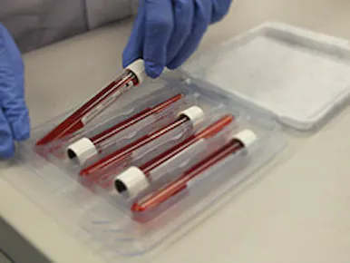 Gloved hands placing blood sample tubes into protective transport packaging designed for safer laboratory sample handling and transport