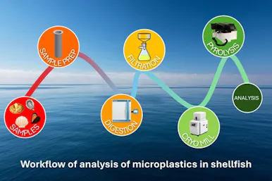 Diagram showing the workflow for analysing microplastics in shellfish using pyrolysis GC/MS