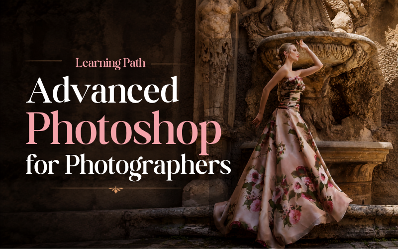 photoshop learning path