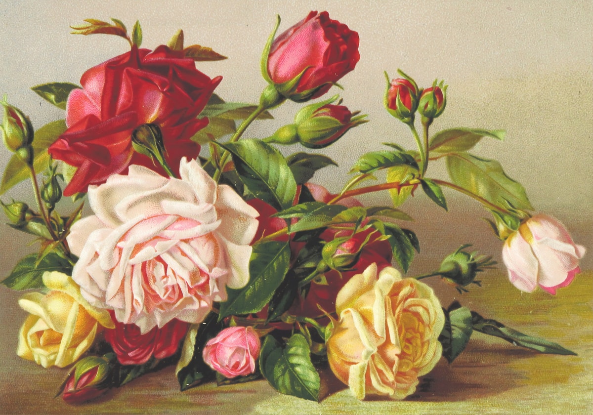Email Image