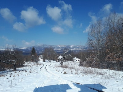 Egyházmegyei gyűjtés 2021