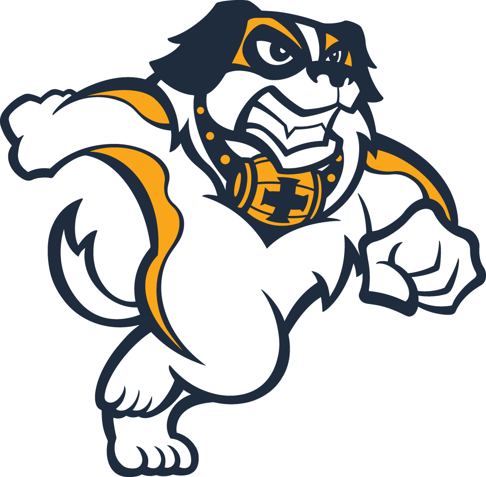 mascot logo full body