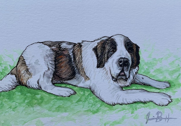 Paint Your Pet Class