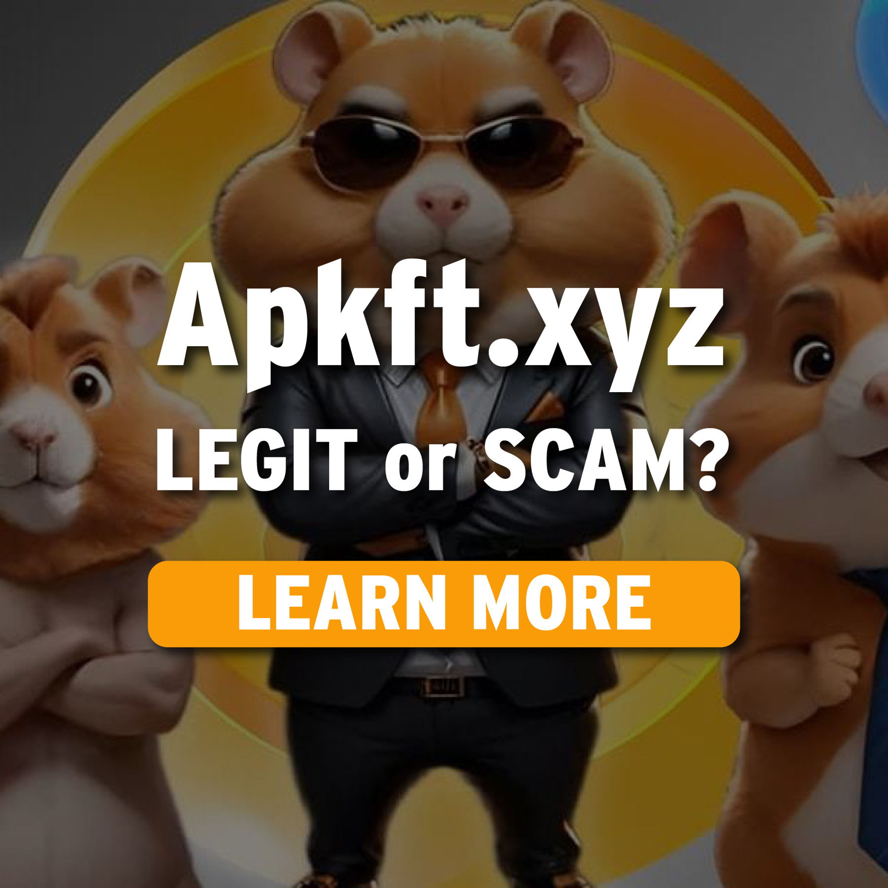 Apkft.xyz Review and the connection to Pkghrana.com 