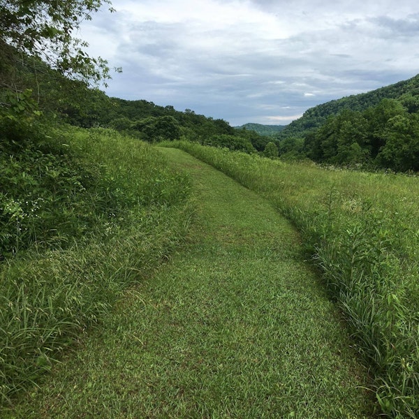 country path