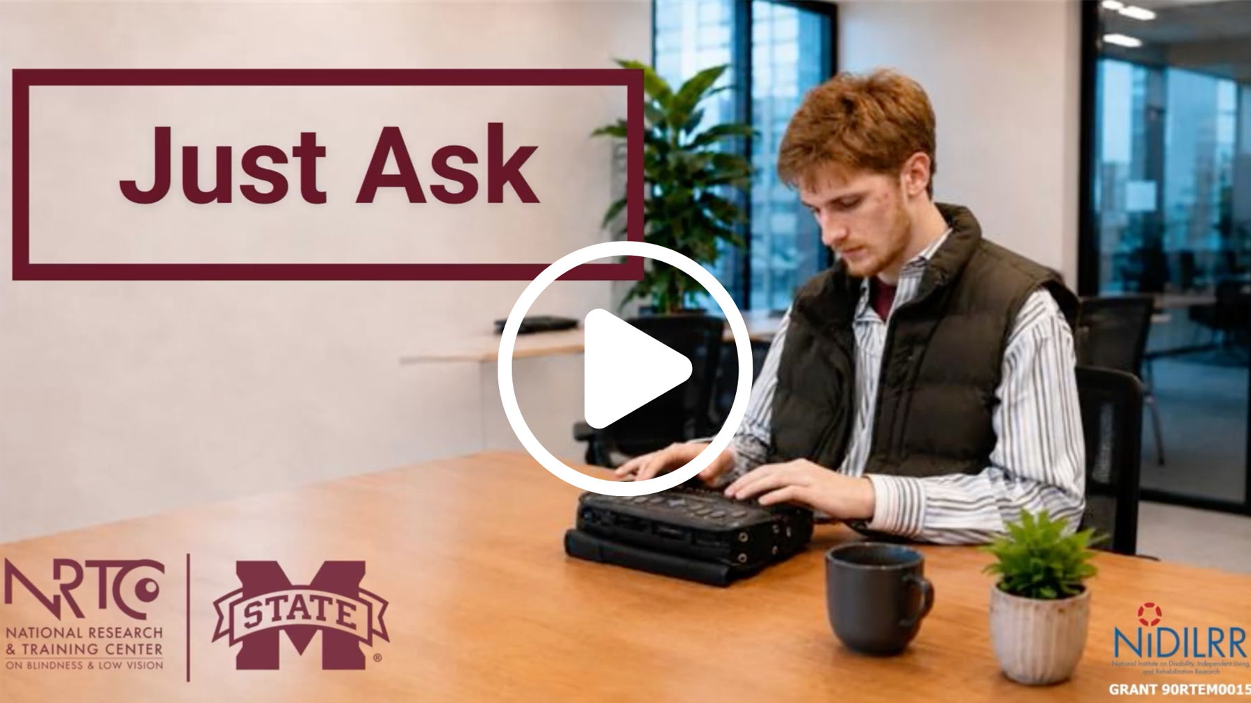 Watch Just Ask: Working Alongside Blind and Low Vision Colleagues