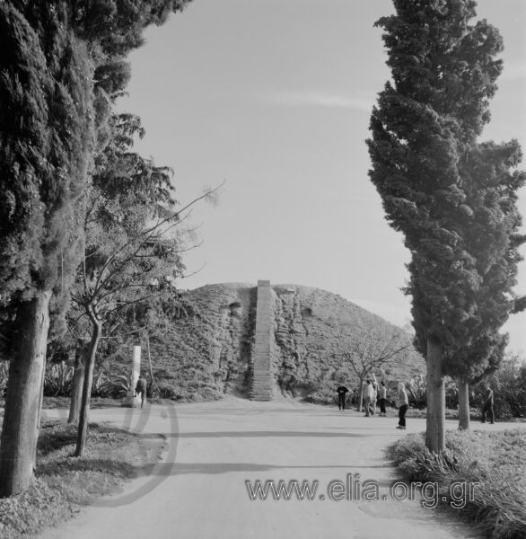 Email Image