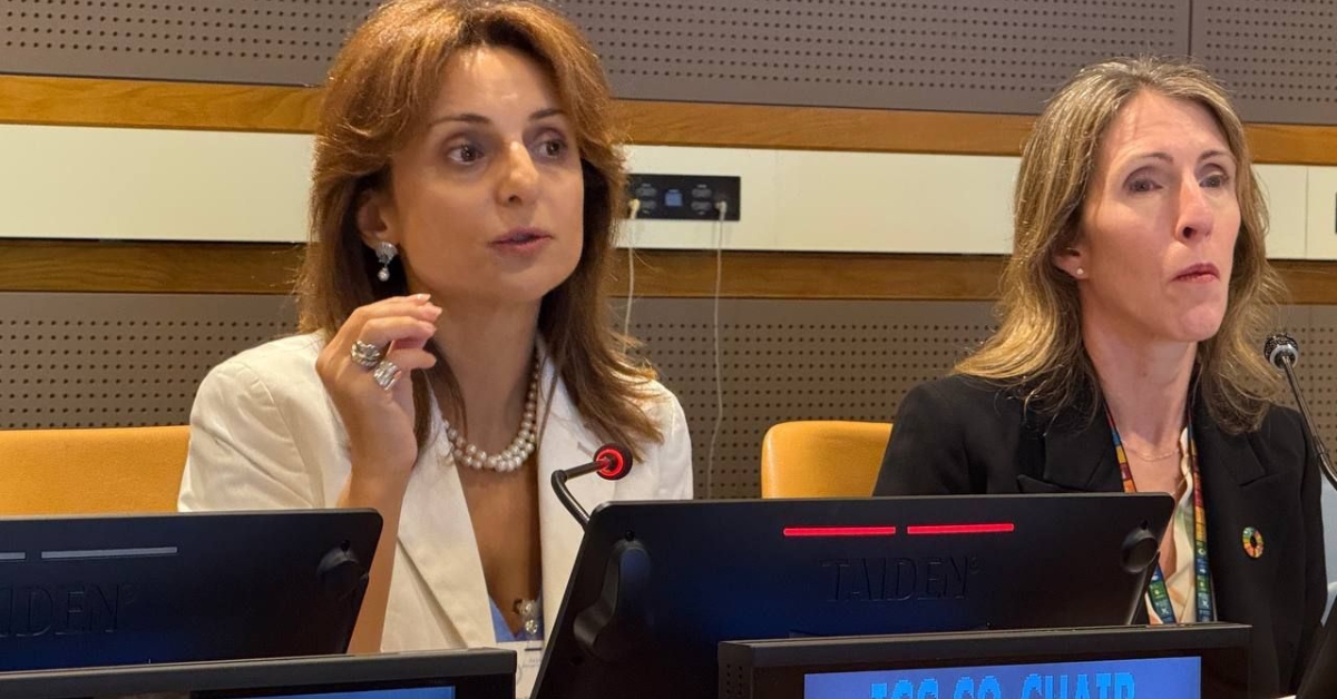 Prof. Phoebe Koundouri Appointed Co-Chair of the 2027 UN Global Sustainable Development Report