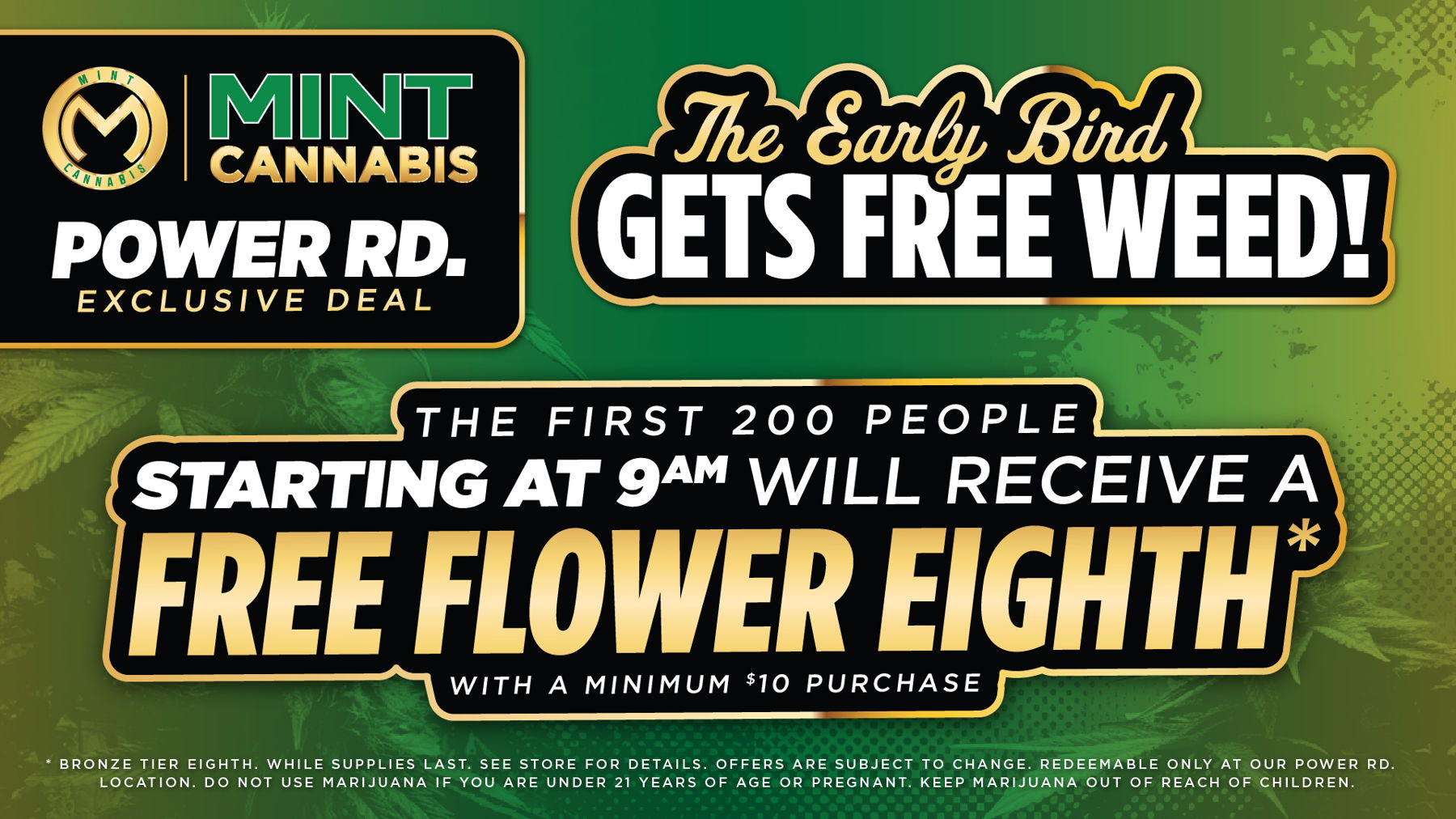 Mom & Pop Chocolates Wyld Gummies Mint Cafe Meal Deal