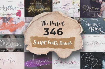 The Perfect 346 Script Fonts Bundle