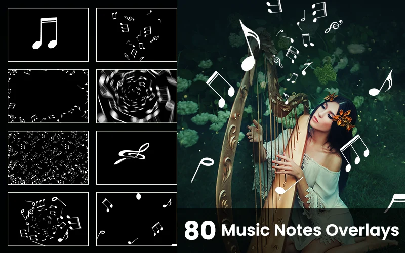 Music Notes Overlay Images included in the bundle.