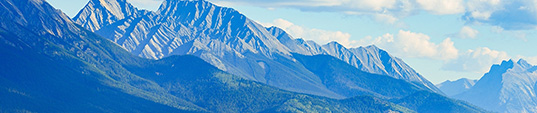 Email Image