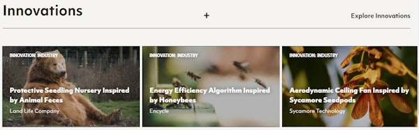 Biomimicry innovations from AskNature