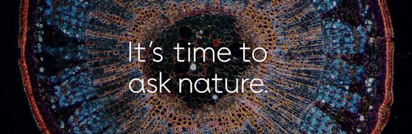 Ask Nature - biomimicry resources