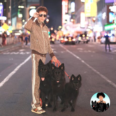 Dog Daddy with 3 black german shepherds in NYC
