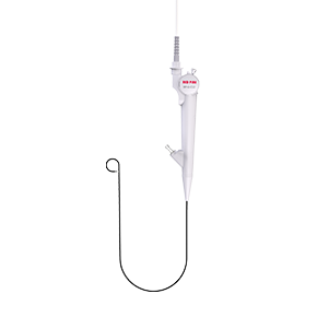 Flexible Ureteroscope