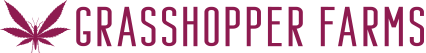 Email Image