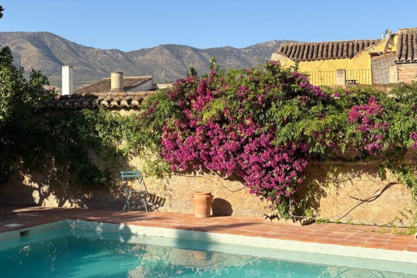 Village house in Andalucia with pool & treehouse