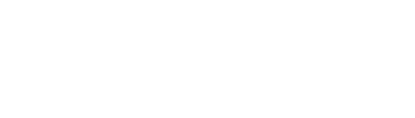 Logo Ton Memorial School Sailung