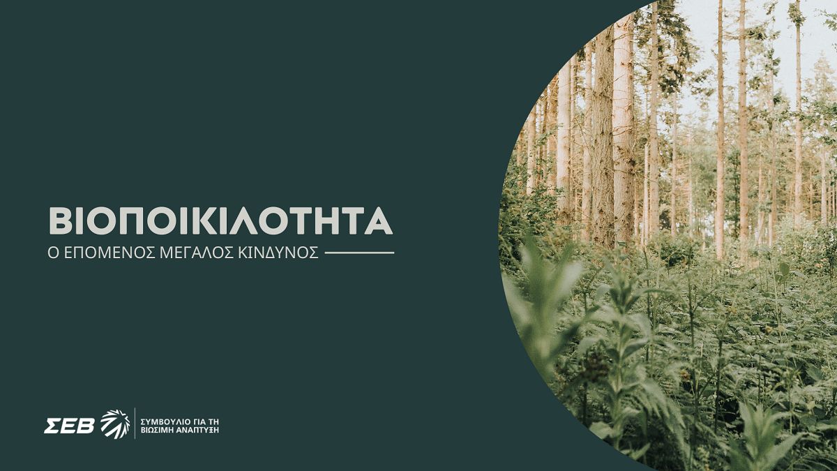 kkouirini@sev.org.gr