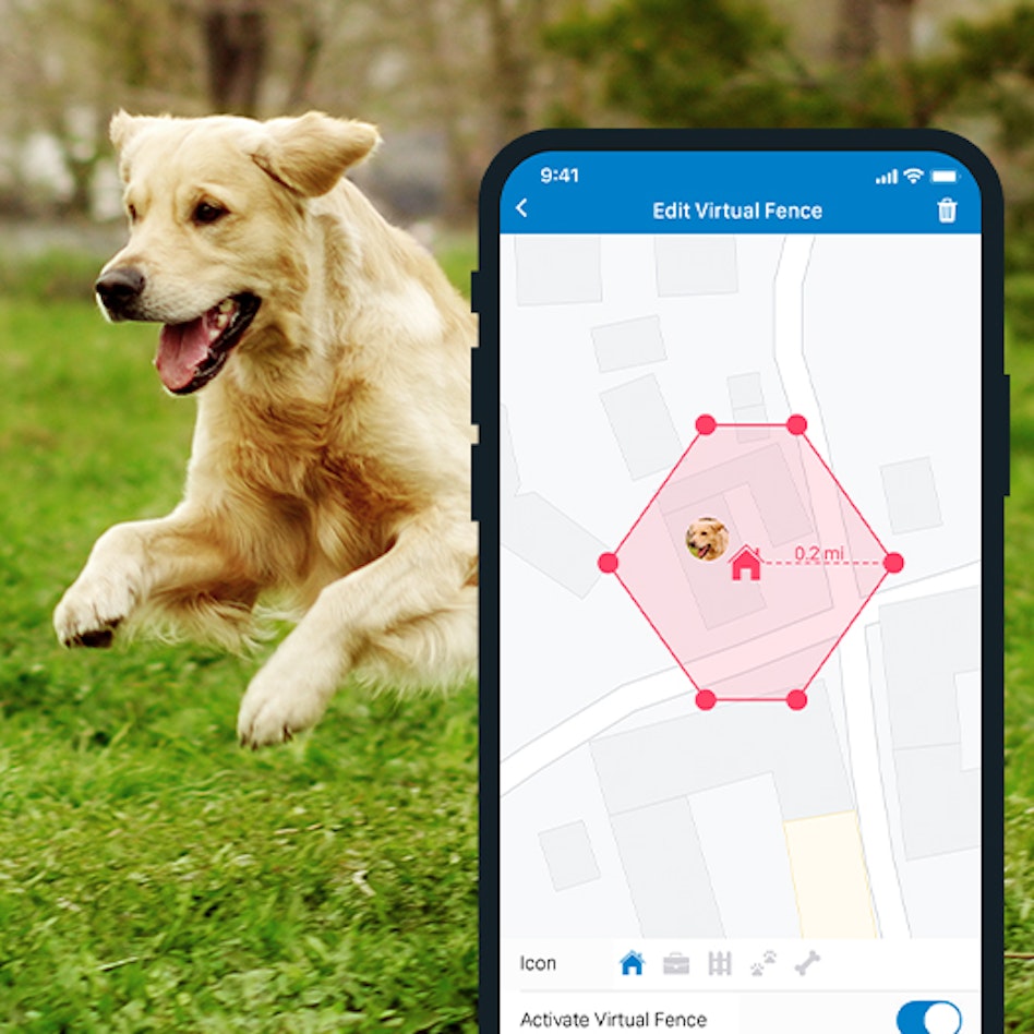Always know where your buddy is. Even if they run off, you can follow their every step in real-time - and find them in no time.