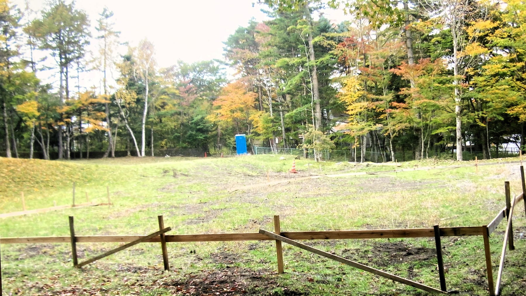 Email Image