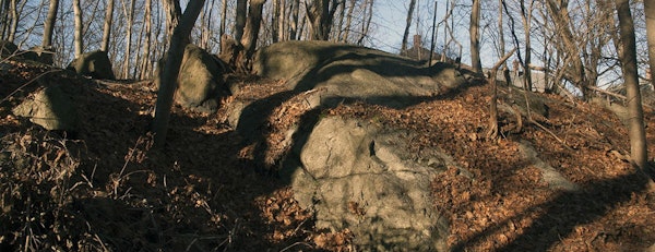 Email Image