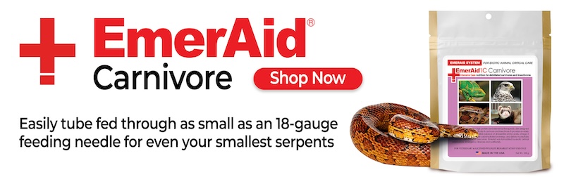 Email Image