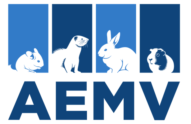 Email Image