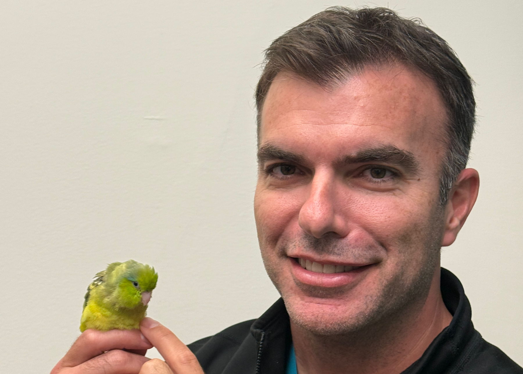 Dr. Guzman with a parrotlet patient
