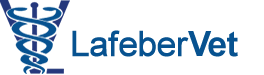 Email Image