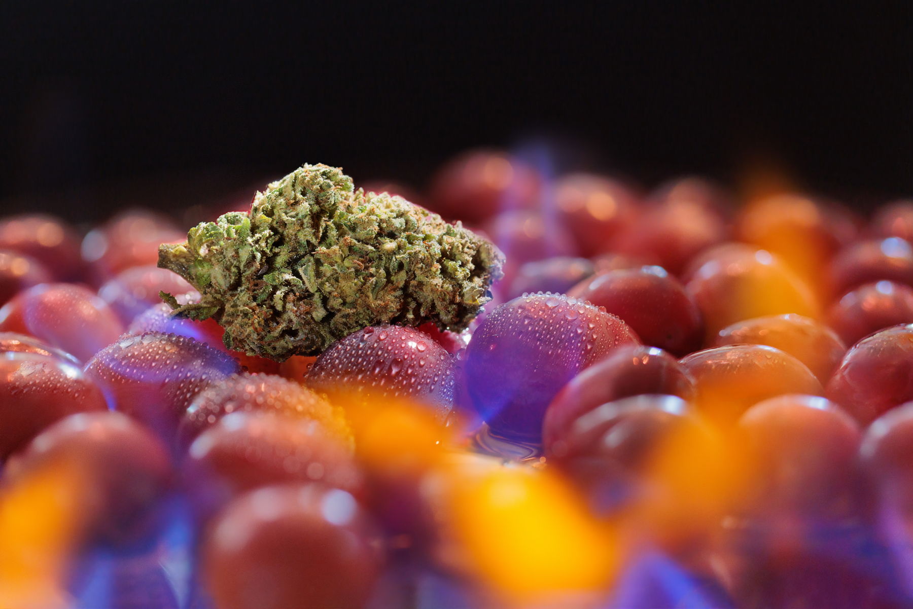 A Grasshopper Farms flower bud resting on a bed of grapes