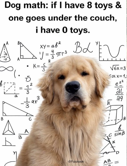 Email Image