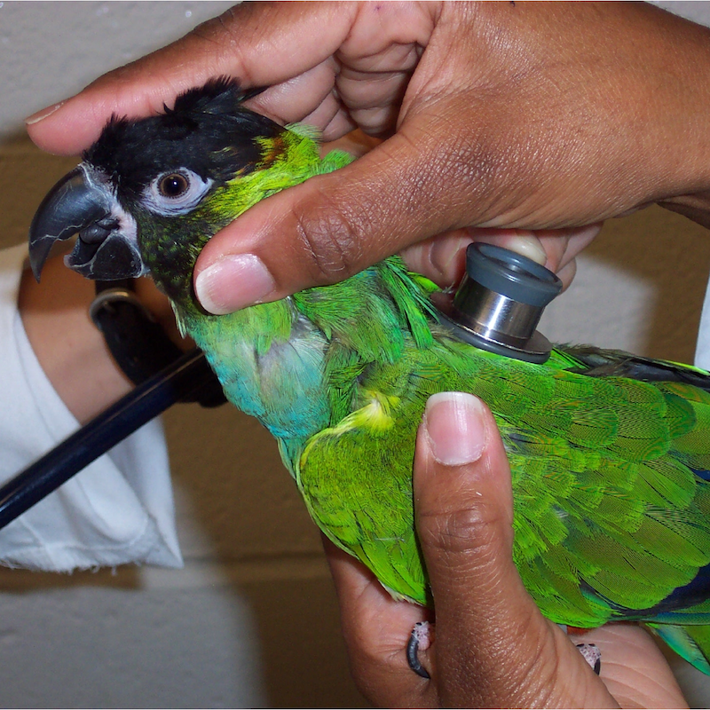 Email Image