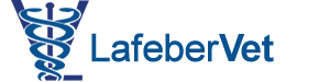 Email Image